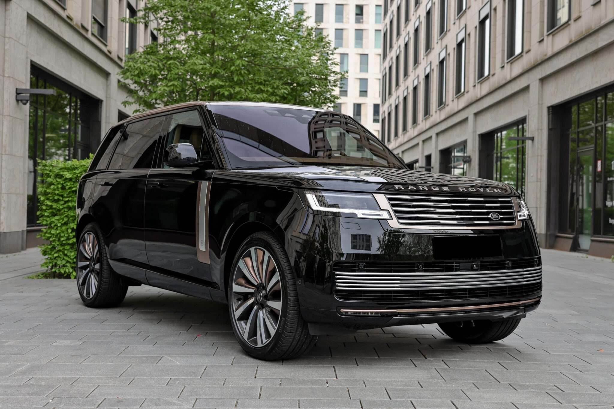 imgi_6_394A6313-scaled2